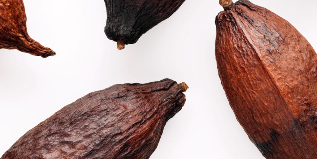 Sağlıklı Tat: Kakao ve Çikolatanın Faydaları